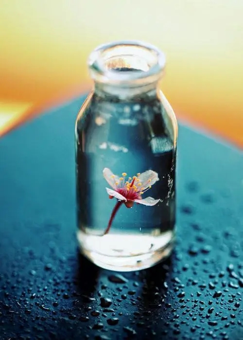 经常换手机号的人是什么样的人呢?