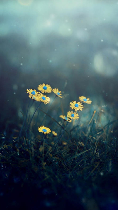 手机号码用久了有什么好处